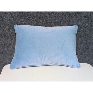 Light Blue Velvet Zippered Down Filled Insert Pillow